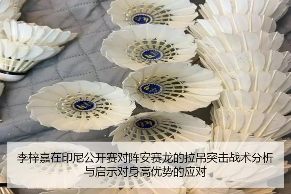 李梓嘉在印尼公开赛对阵安赛龙的拉吊突击战术分析与启示对身高优势的应对